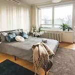 Historic 4-bedroom - Brivibas Boulevard *